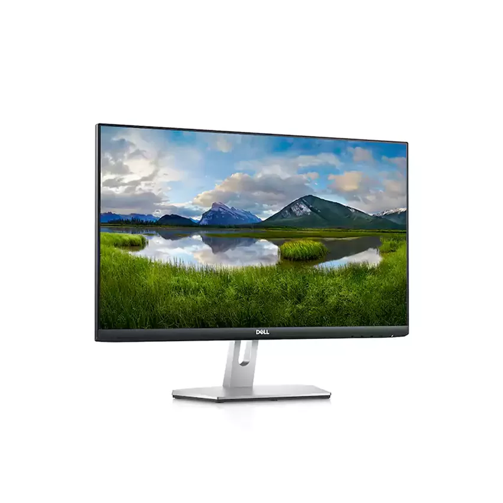 DELL S2421HN 24" Monitor