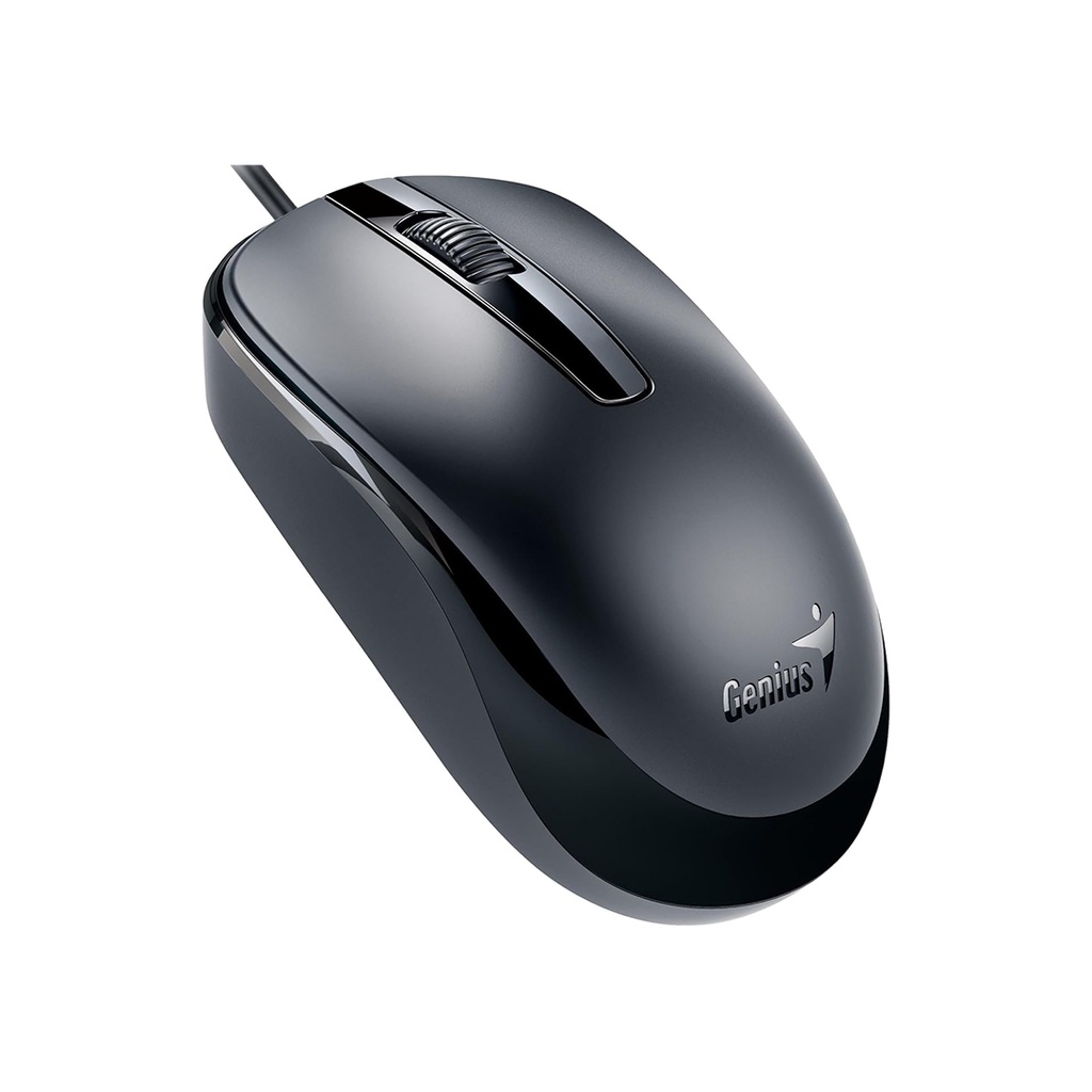 Genius USB Dx-120 mouse Black