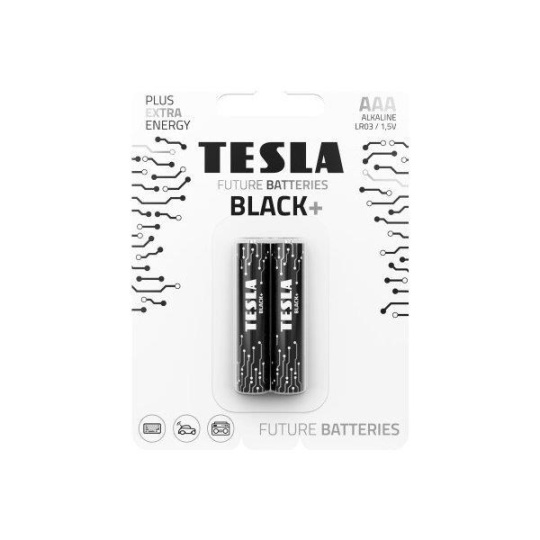 TESLA Dry Battery AAA BLACK LR03/BLUSTERFOLL 2P